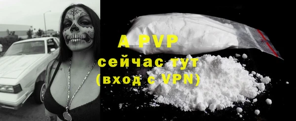 прущий лед Рославль