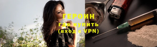 индика Ладушкин