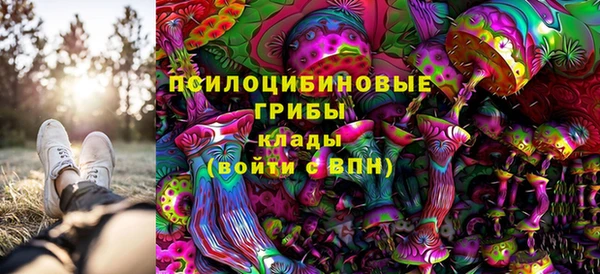 PSILOCYBIN Приозерск