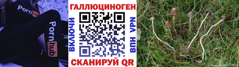 Галлюциногенные грибы MAGIC MUSHROOMS  Козловка 